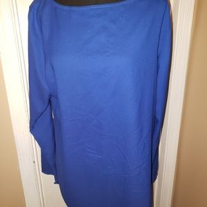 Blue Ann Taylor Blouse